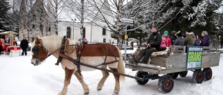 Smidde julplaner på marknad