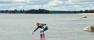 Låga badtemperaturer efter hundväder