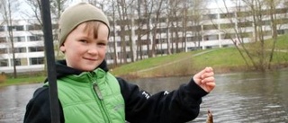 För Arvid, 8, blev det napp