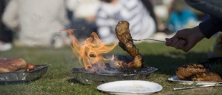 Ja tack till pant för engångsgrillar