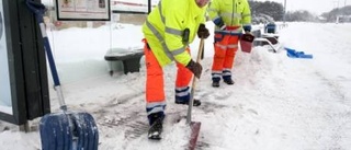 De trotsar snö och kyla