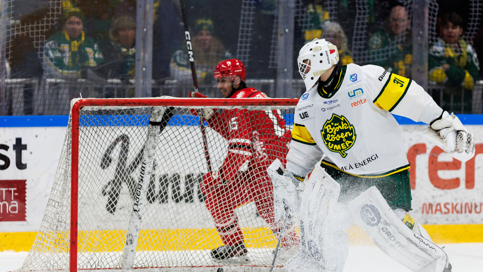 Almtuna mot Björklöven är vad som gäller i kväll.