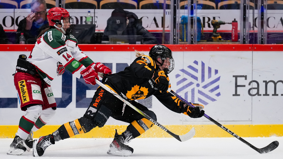 The SDHL can be expanded to twelve teams for the 2029/2030 season. At least if the proposal that was presented over the weekend goes through.