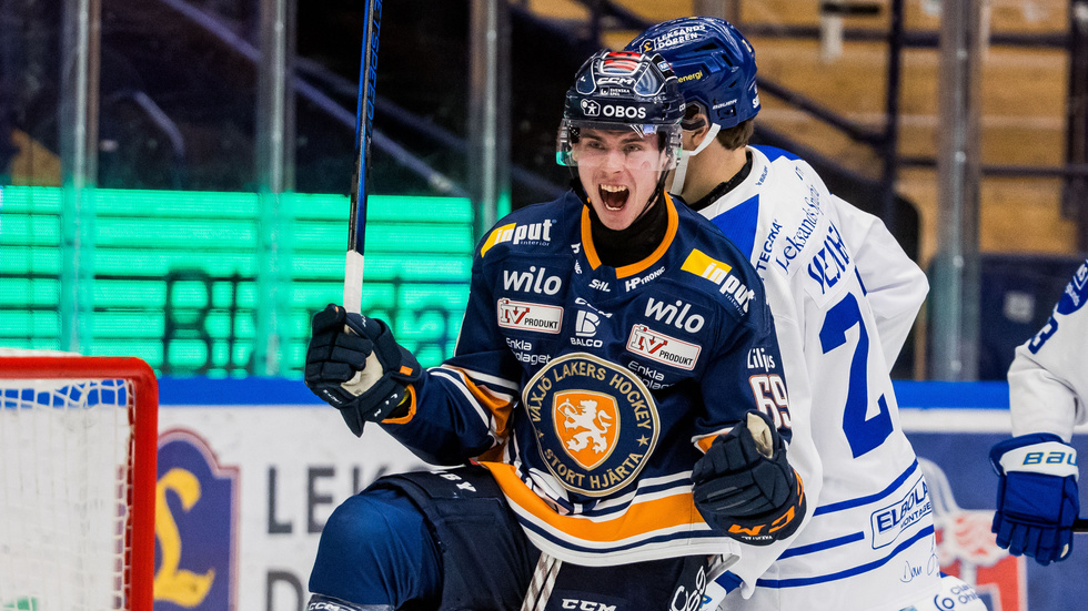 Ville Svensson spelade ungdoms- och juniorhockey i Mörrum, Karlskrona och Malmö. Sedan säsongen 2022/23 tillhör han Växjö Lakers.