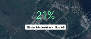 Så gick det för Bläster & Industrilack i Norr AB under 2023