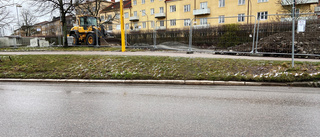 Kapsågar förstör nattsömnen – Bengt, 79, en av de drabbade: "Ett förskräckligt oväsen"