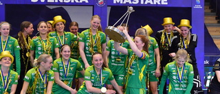 Nykomlingen tog SM-guld efter vändning