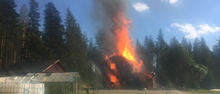 Brand i byggnad i Röjnoret – började brinna i skogen i närheten       