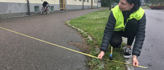 Elvira och Edin mäter nedskräpningen i Nyköping