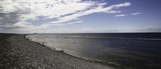 Centern får regeringen att försvaga strandskyddet