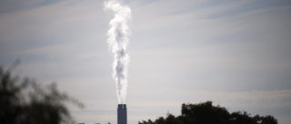 Klimatfrågan är stabilt i topp, dra nytta av det