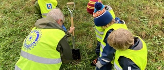 Förskolebarnen planterade 300 lökar för framtiden