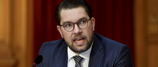 Åkesson: Ödesval väntar