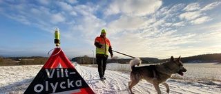 Eftersöksjägarens vädjan: "Jag vill också få komma hem till fredagsmys, så bromsa"