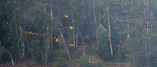 Skogsbrand utanför Åbyn