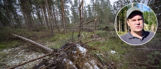 Arbetet med skadorna i skogarna väntas ta månader att ta hand om: "Det här kommer påverka oss länge"