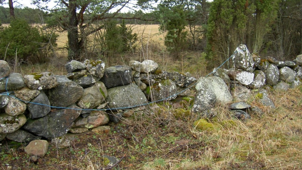 Länsstyrelsen har polisanmält att någon delvis förstört en stensträng på mellersta Gotland. (Muren på bilden har inget med textens innehåll att göra.)