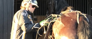 Seger trots jättegalopp