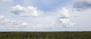 Ansvar utreds efter dödlig helikopterolycka