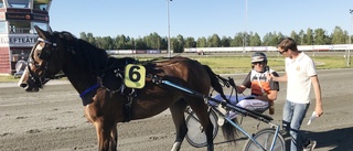 Röyns Kristine går till aveln