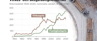 Trävarupris dyker – skogsfastigheter går upp