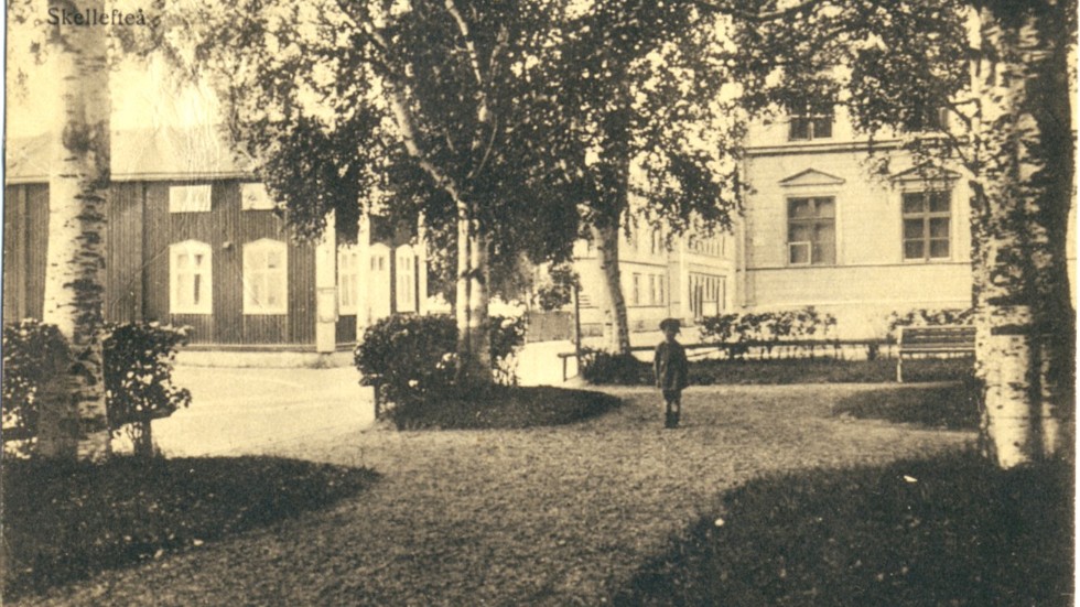 Grannarna. Här skymtar södra änden av Höken 6 genom grenverket i Stadsparken. Alla gamla husen som ses söder om Strandgatan är nu rivna. Vykort lånat av Sture Forsgren. Foto: Privat.