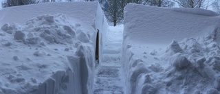 Bildspel: Se läsarnas bilder från snökaoset