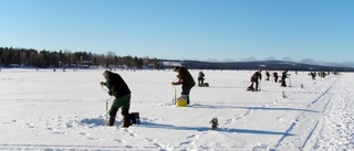 Pimpelfiskare invaderar Norsjön