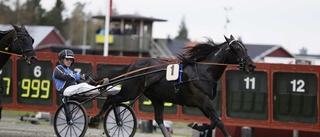 V75-kommentar: Svårt att locka de stora massorna på oktoberfest