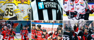 Hockeyettanexpertens dom över länslagen • Bästa spelarna • Flopparna • De får kvala • ”Avancemang kan de ju glömma”