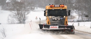 Bit ihop i kylan – snart kommer snö och plusgrader