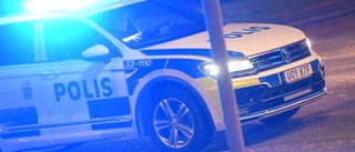 Polis avlossade skott mot våldsam yxman