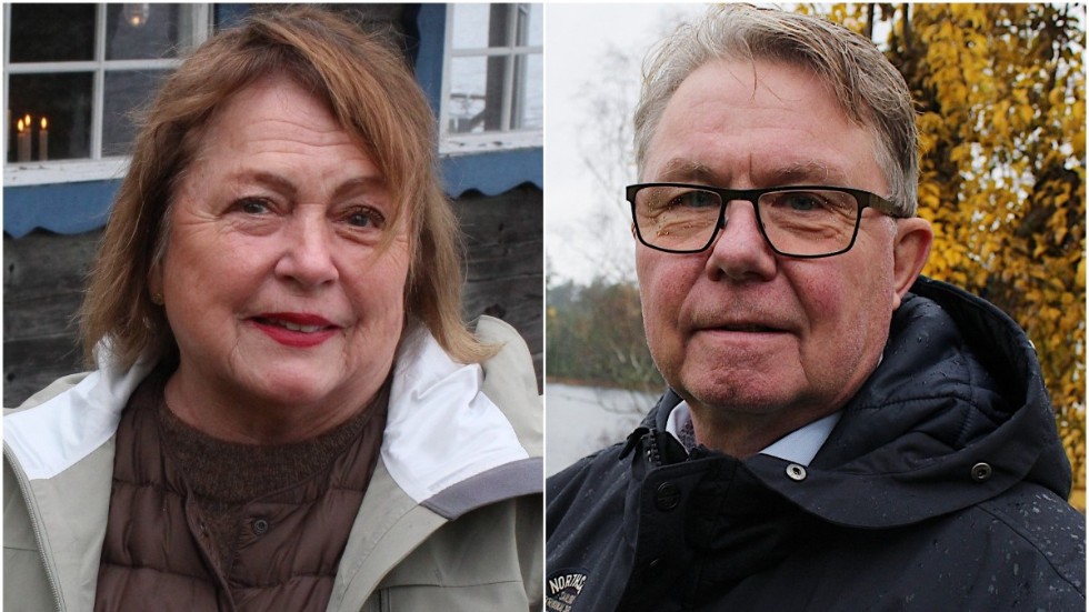 Hur el ska produceras är i grunden en teknisk fråga – inte en politisk. Politiken ska hantera de problem som uppstår när tekniken genomförs, skriver Catharina Roos och Per-Olov Strandberg RVNO.