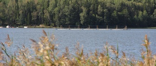 Östhammar har vatten i överflöd