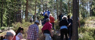 Dramatisk häxshow i Trollkärringeskogen