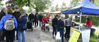 Smaka, titta på skördemarknaden