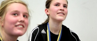 Guld till Jönsbergska