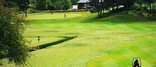 Loftahammar är redo för VT-golfen