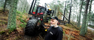 Farhågor för skogen gäller inte här