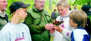 Småkryp och fågelliv i våtmark vid S:t Anna skola