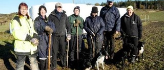 Vallhundsguru slipar formen på Tjustvallare