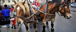 Från Tomten på torget till Kulbackens vita häst