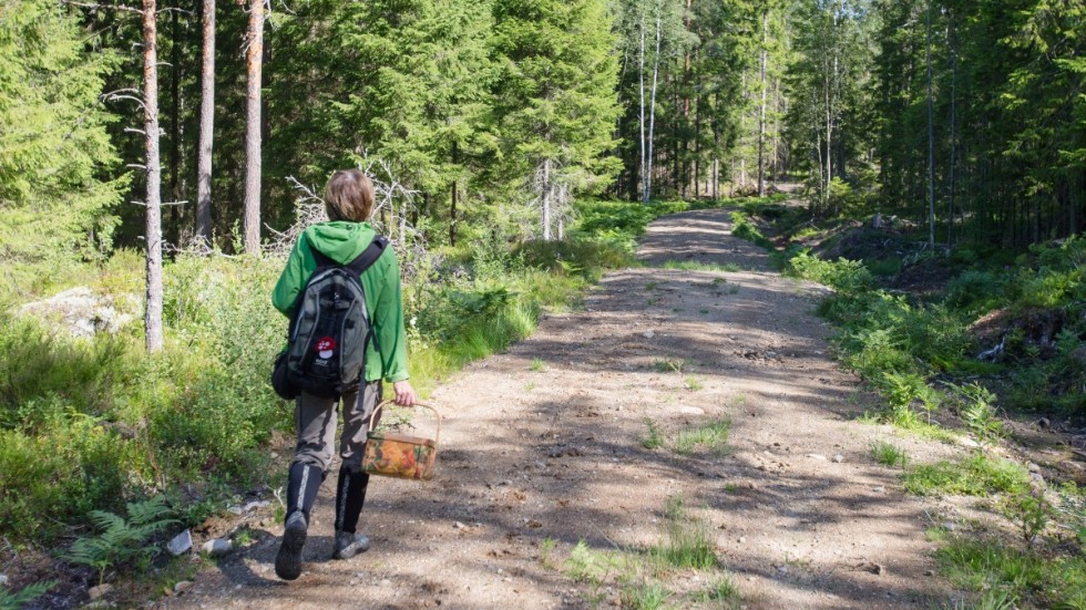 Svampplockning hör till höstens uppsidor, tycker Maria Björk Hummelgren som är en i själ och hjärta sommarmänniska.