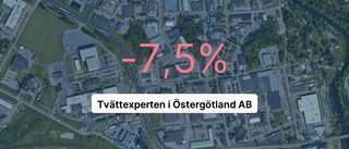 Omsättningen tar fart för Tvättexperten – men resultatet sjunker