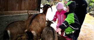 Familjedag i djurparken