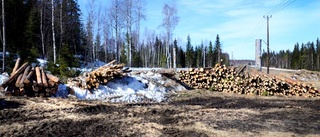 Skogsägarna tror på stigande priser