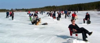 Vårsolen flödade vid Tjappsnappet