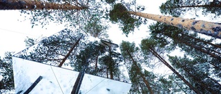 Treehotel tilldelas prestigefyllt pris