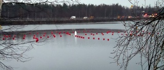 Gissa vad som flyter på Röda havet