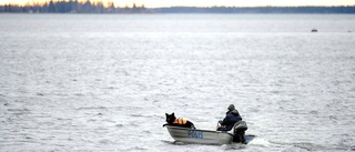 Polis förbryllad över båtmysteriet